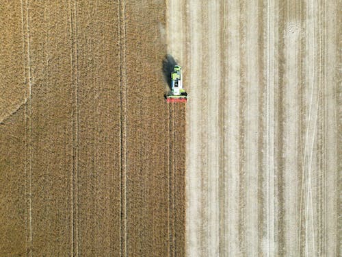 Free Drone Shot of a Combine Harvester on a Cropland  Stock Photo