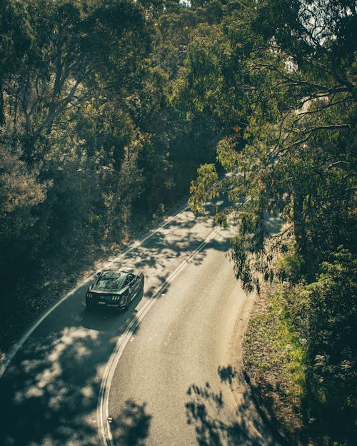 A Ford Mustang Driving on an Asphalt Road between Trees