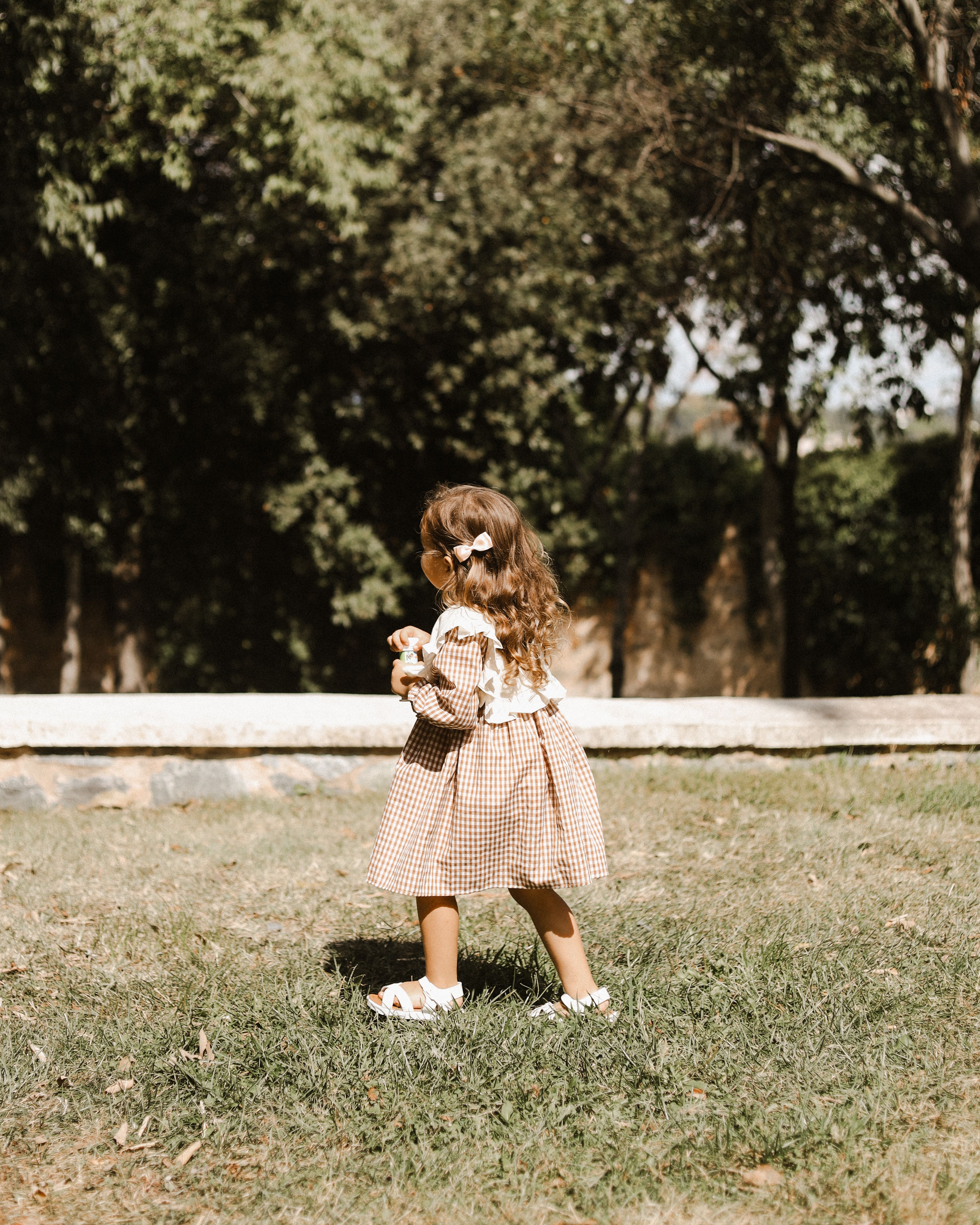 Gingham Day Dress