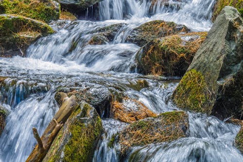 Cascades on River