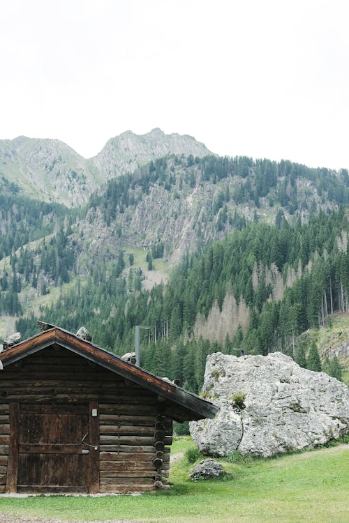 Kostenloses Stock Foto zu berge stadt, berggipfel, bergwald