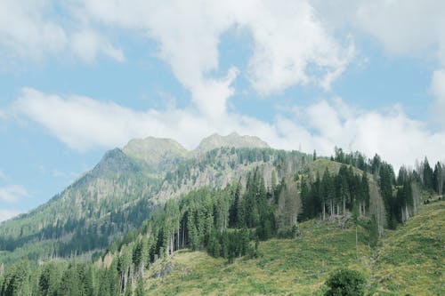 Kostenloses Stock Foto zu berge stadt, berggipfel, bergwald