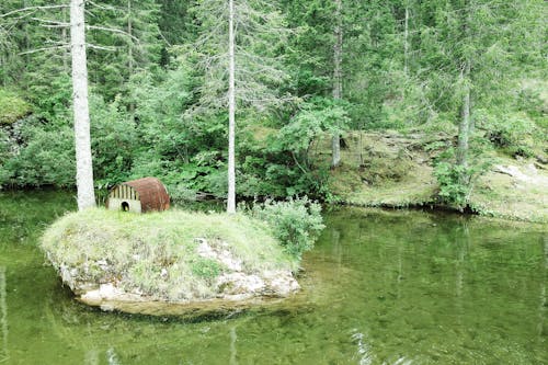 grátis Foto profissional grátis de água, árvores, beira do lago Foto profissional