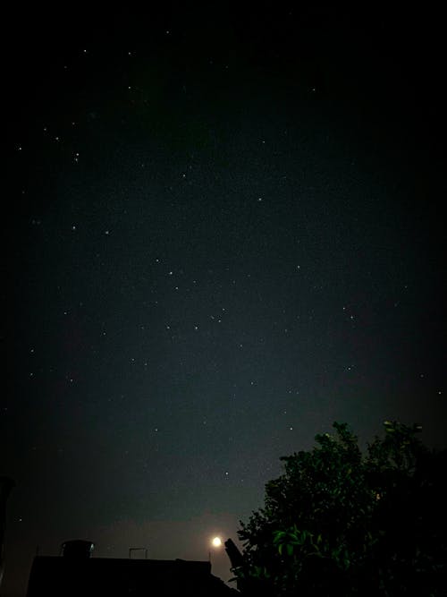 Foto profissional grátis de céu, céu noturno, estrelas