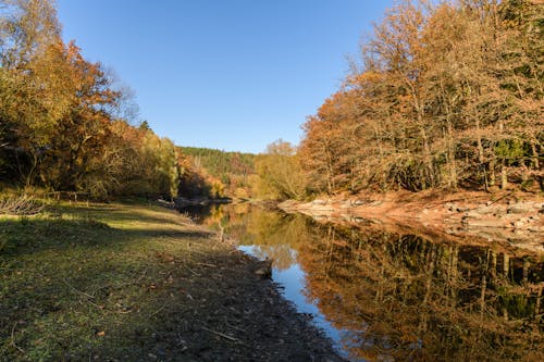 강, 나뭇잎, 농촌의의 무료 스톡 사진