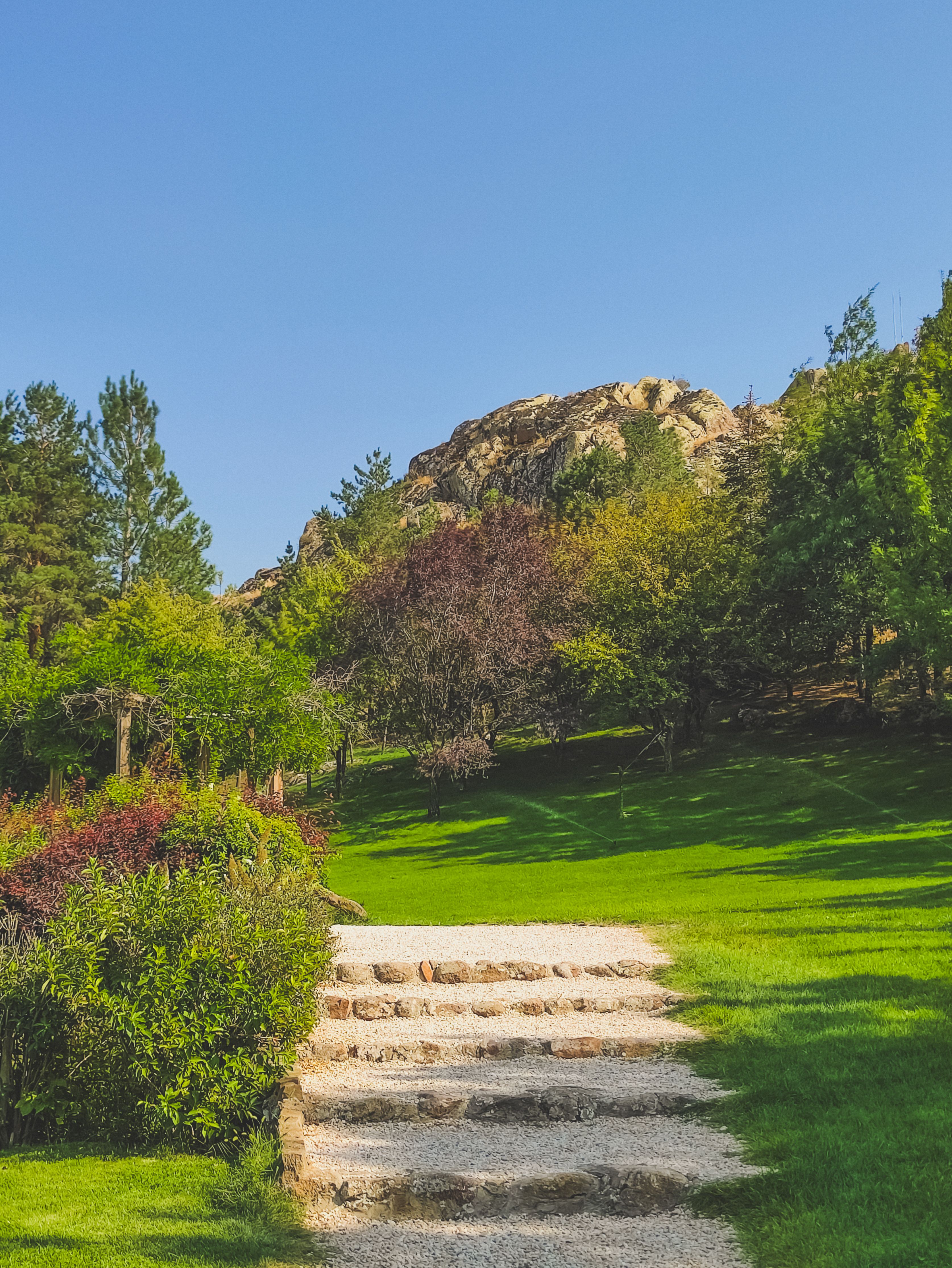 Path in a Park · Free Stock Photo