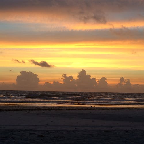 Beach During Sunset