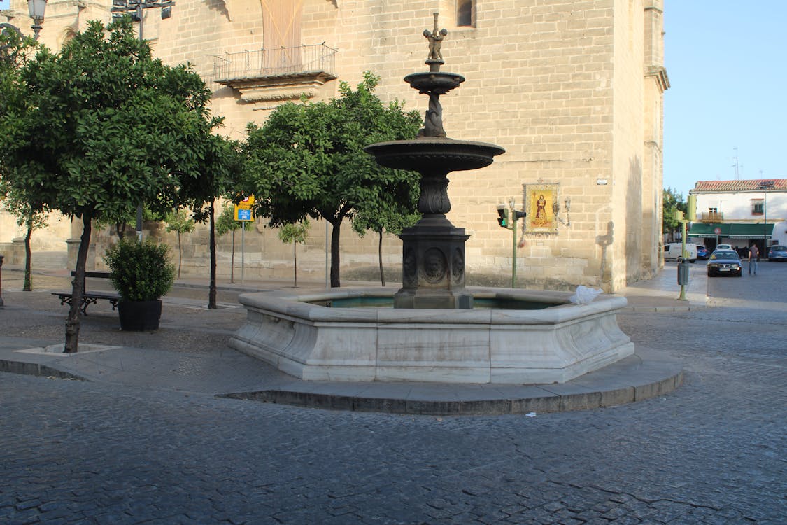 fuente de la plaza de Santiago