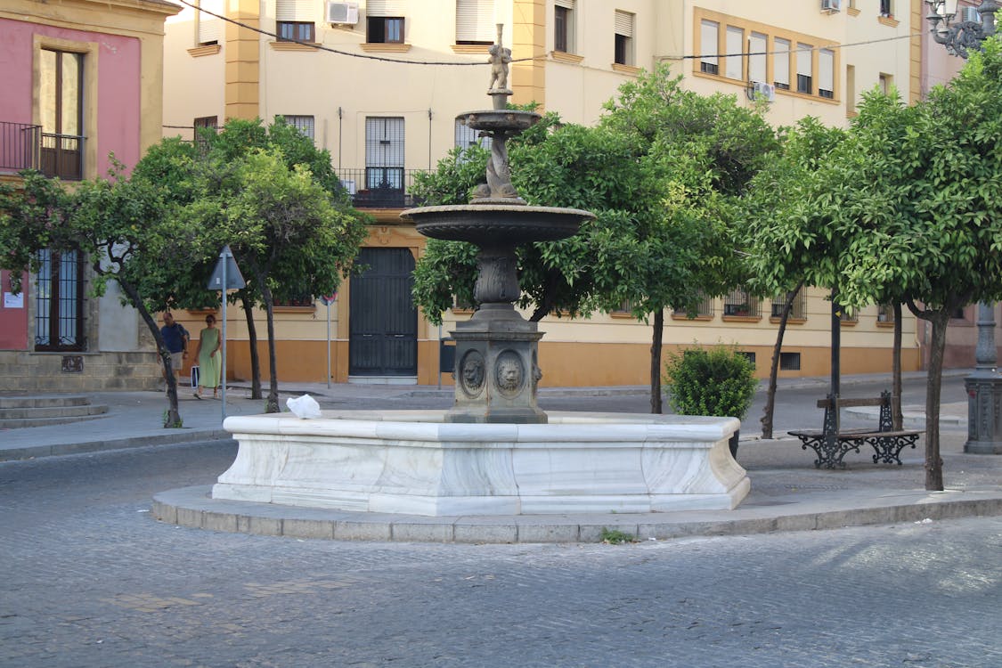fuente de la plaza de Santiago