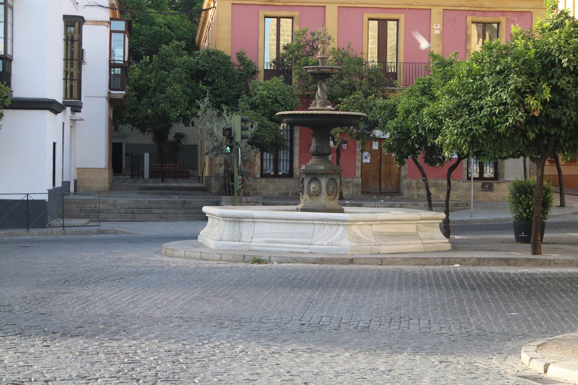 fuente de la plaza de Santiago