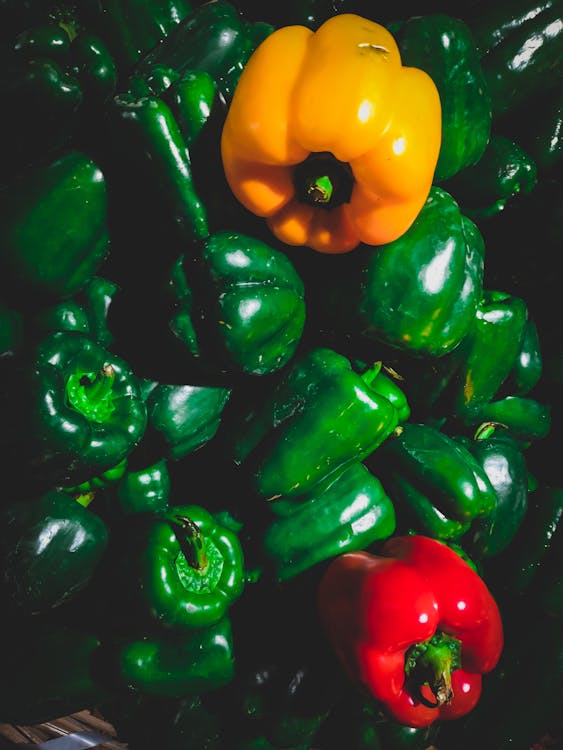 Free Green, Yellow, and Red Bell Pepper Lot Stock Photo