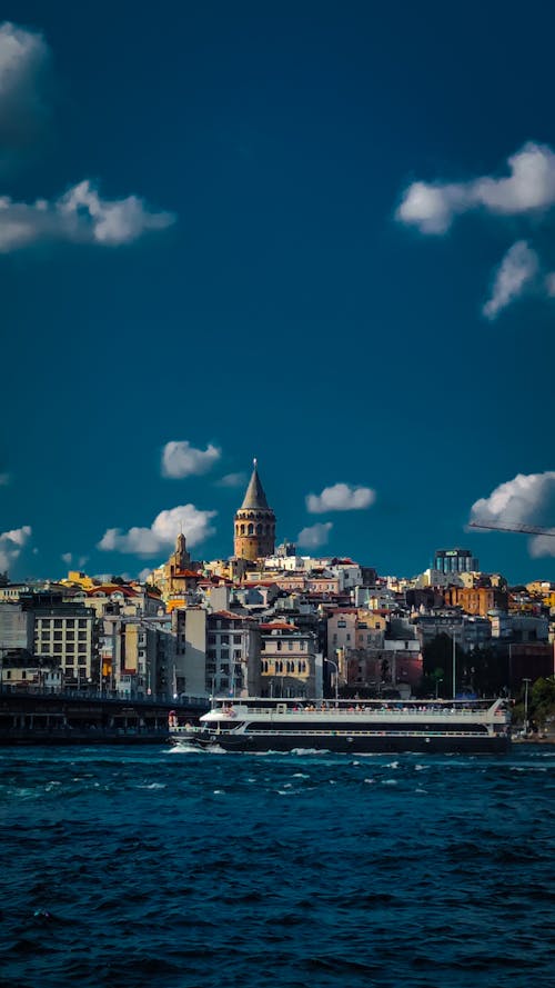 Foto d'estoc gratuïta de gall dindi, Istanbul, torre de galata