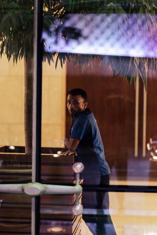 Free Man in a blue shirt posing indoors next to a potted plant. Stock Photo