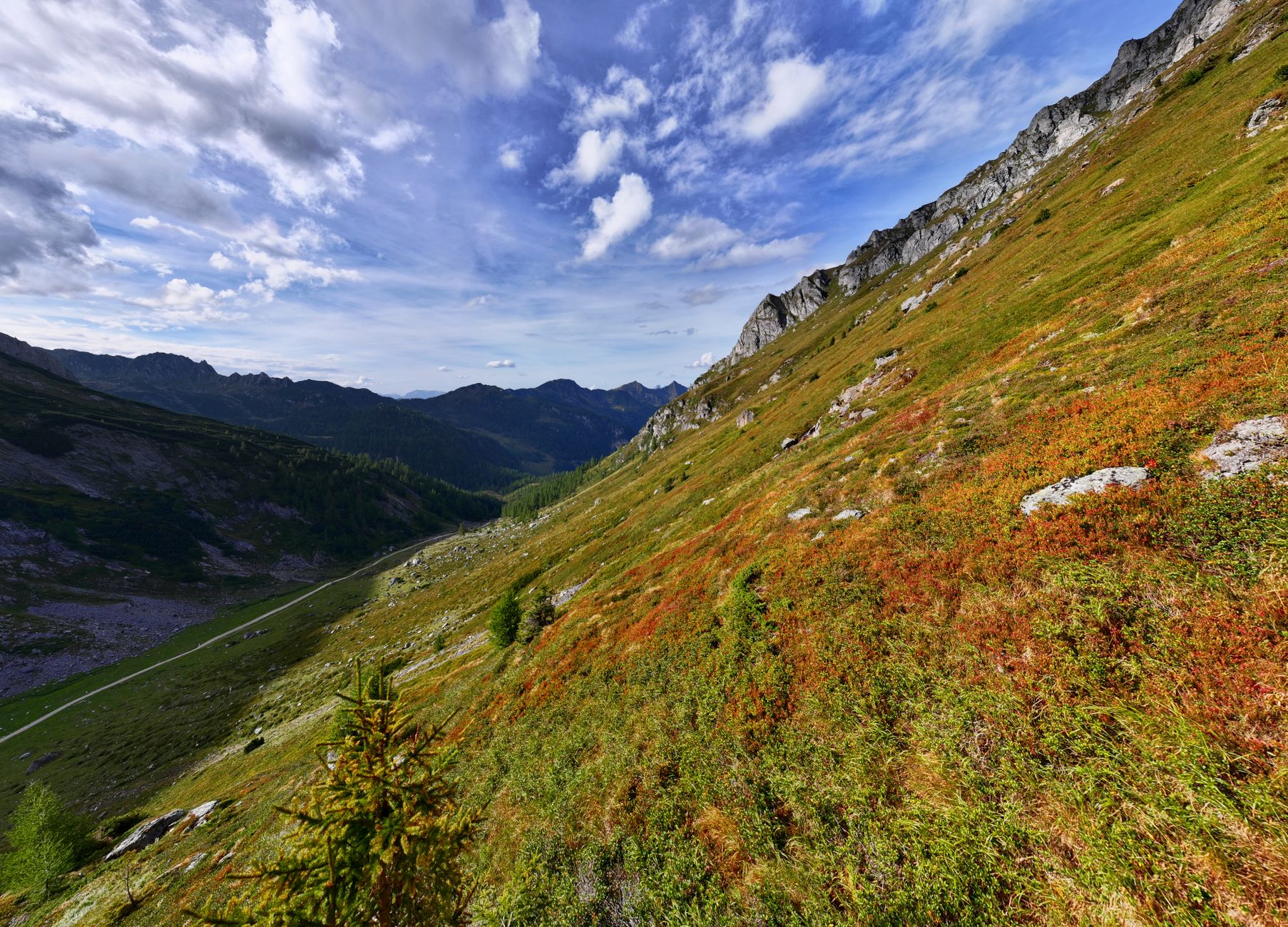 The high country at first light