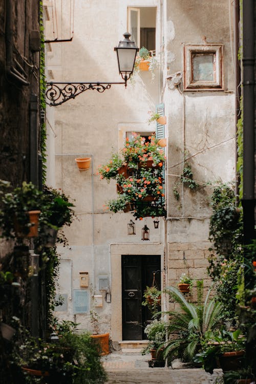 Potted Plants Hanging on House Walls in a Narrow Alley