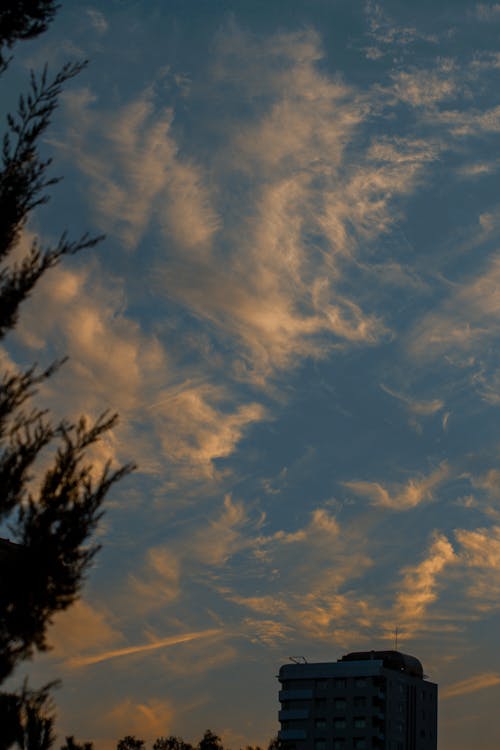 Gratis arkivbilde med blå himmel, boligblokk, cirtus