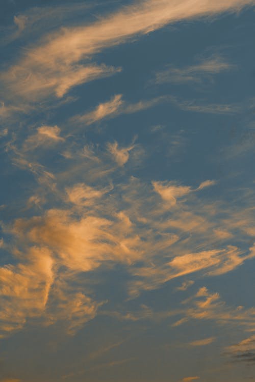 cloudscape, ゴールデン, バックグラウンドの無料の写真素材