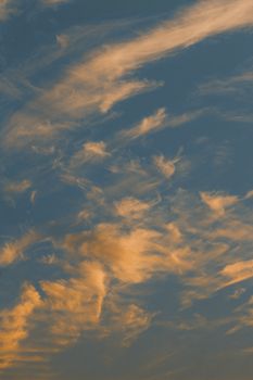 Beautiful golden cirrus clouds at sunset creating stunning patterns in the sky, ideal for nature and weather themes.