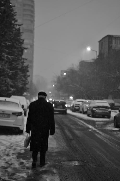 걷고 있는, 겨울, 남자의 무료 스톡 사진