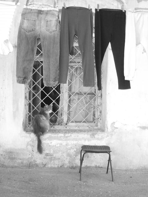 Darmowe zdjęcie z galerii z aparat analogowy, azerbejdżan, cień