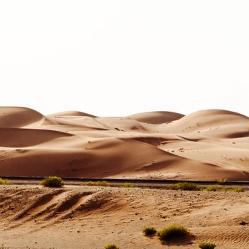 Lawrence of Arabia (1962)