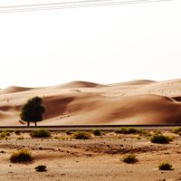 Desert dunes at midday, photo by aboodi vesakaran on Pexels