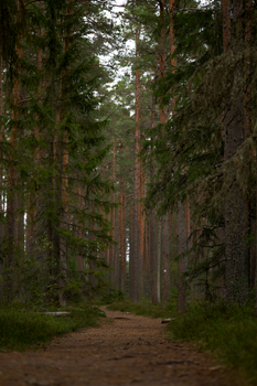 Nature