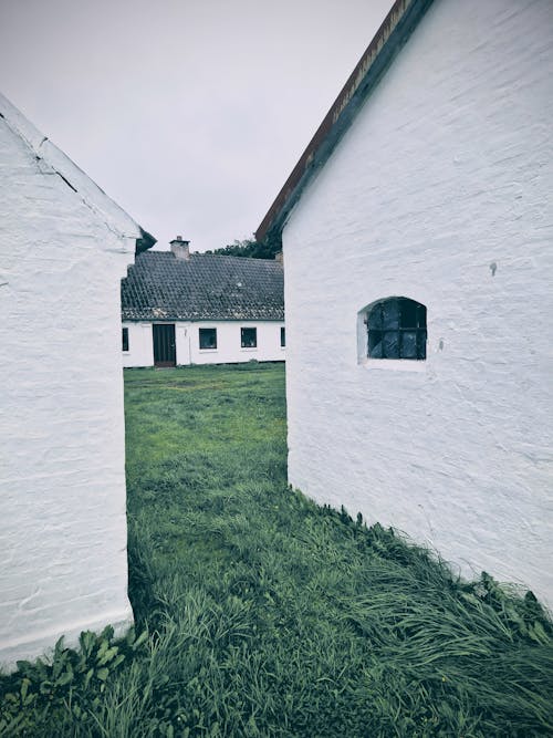 Бесплатное стоковое фото с белый, вертикальный выстрел, деревни