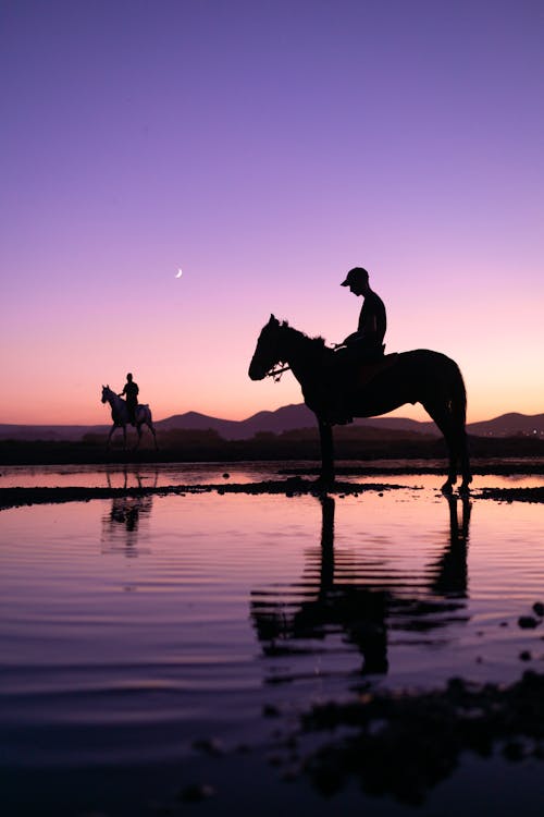Silhouettes of Men on Horses in the Evening