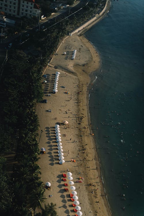 deniz, deniz kıyısı, dikey atış içeren Ücretsiz stok fotoğraf