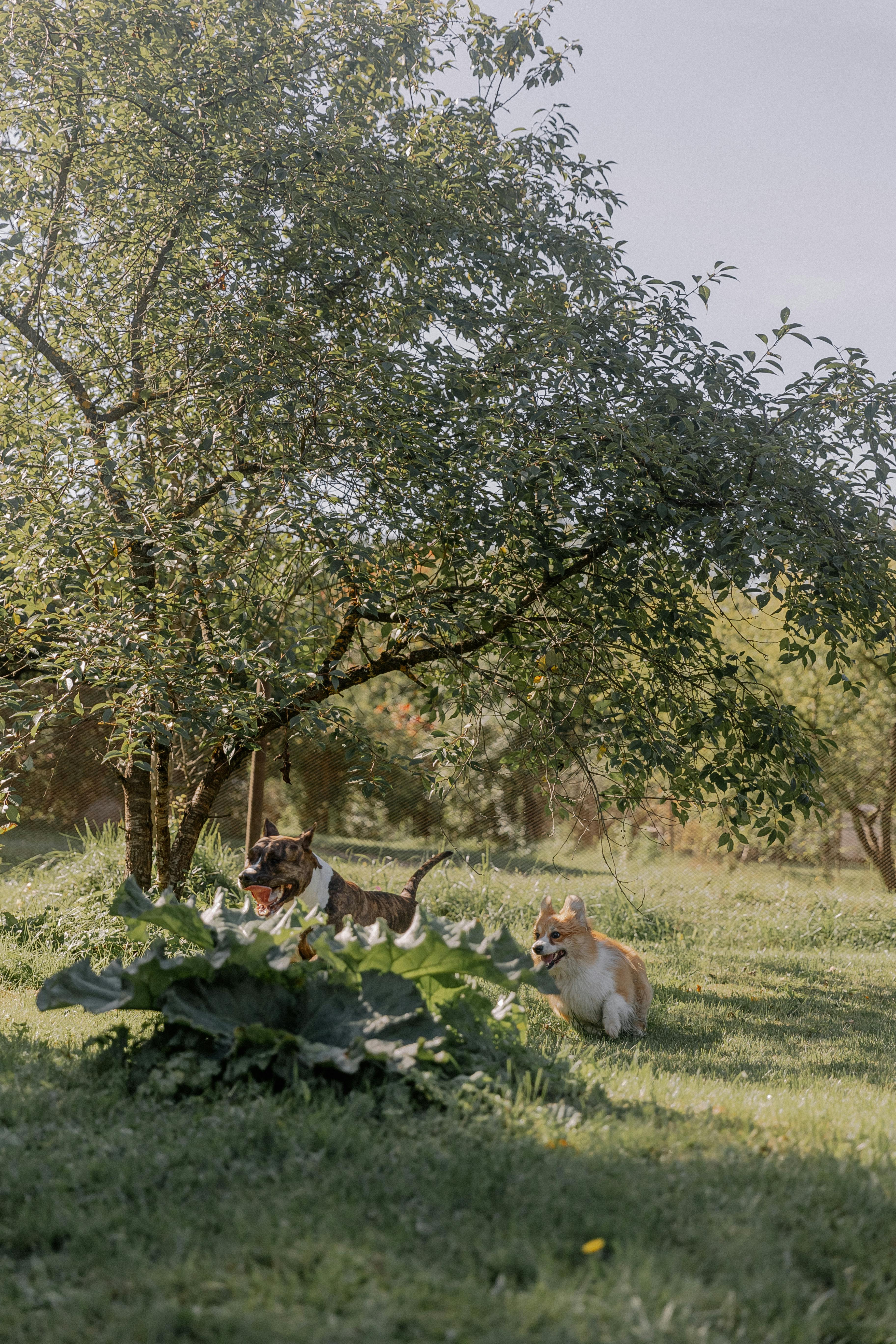 Running Things Photos, Download The BEST Free Running Things Stock ...