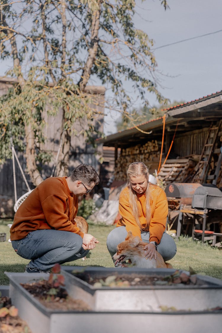 Couple Playing With Their Dog In The Garden