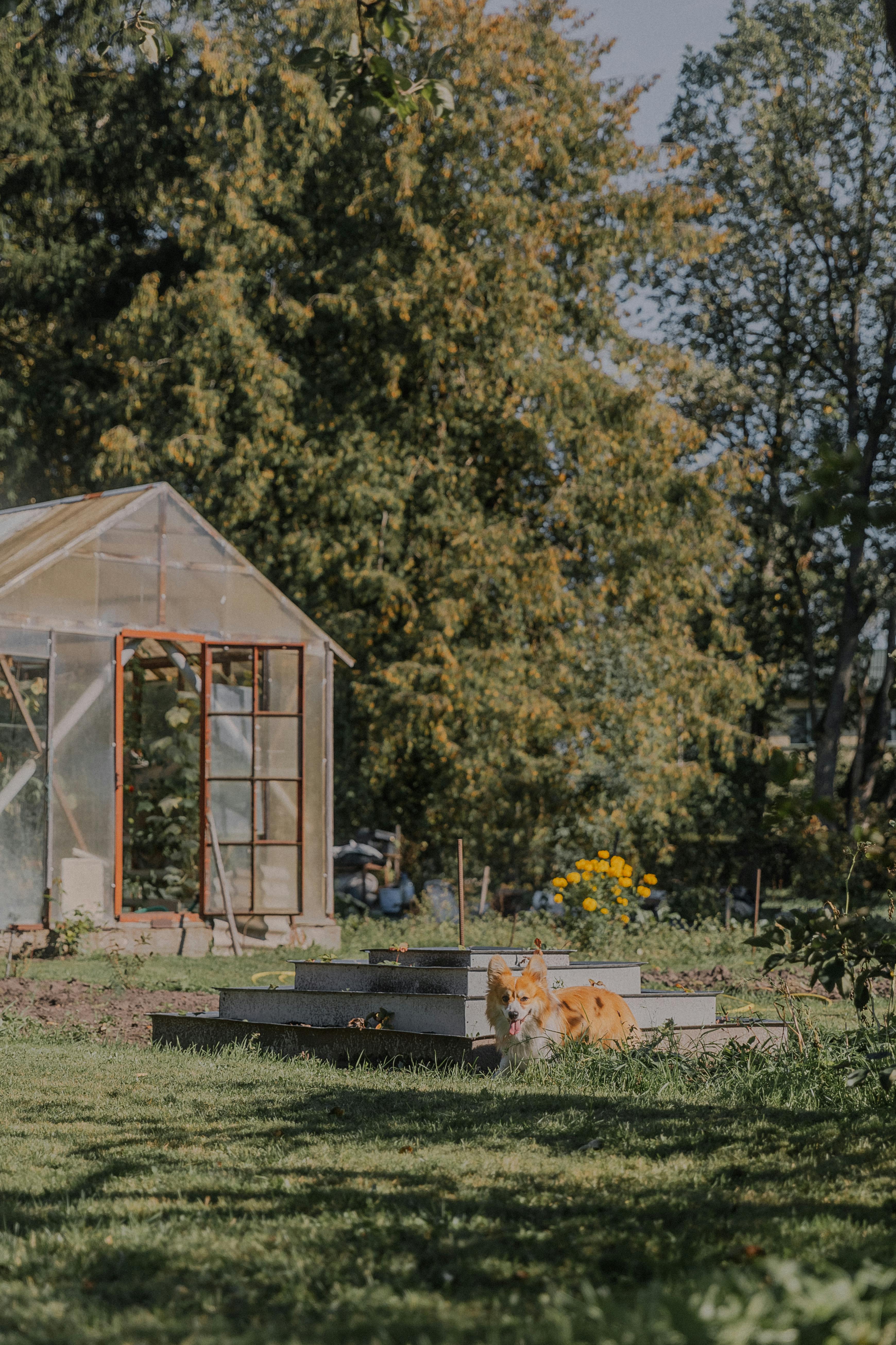 Blocks Greenhouse FiletypePdf Photos, Download The BEST Free Blocks