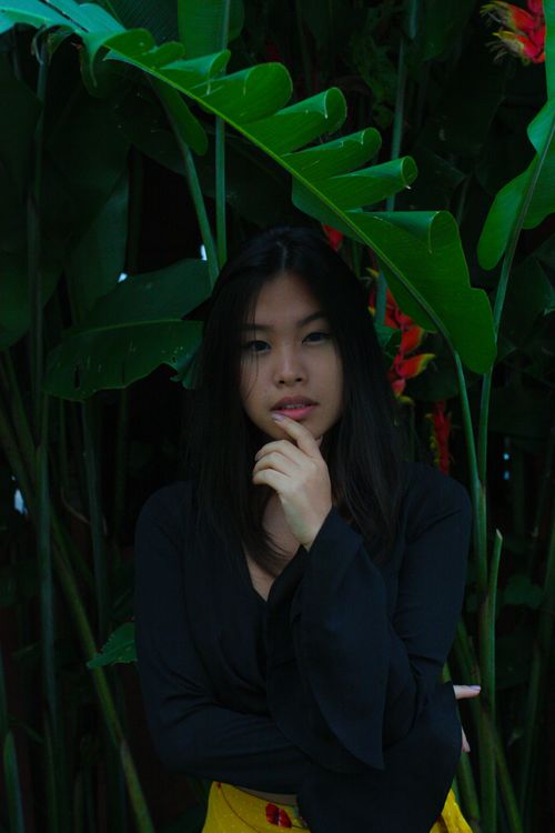 Free A serene portrait of a woman posing stylishly amidst lush tropical leaves, exuding confidence. Stock Photo