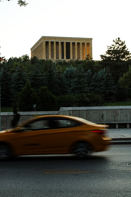 Foto d'estoc gratuïta de anıtkabir, ankara, arbre