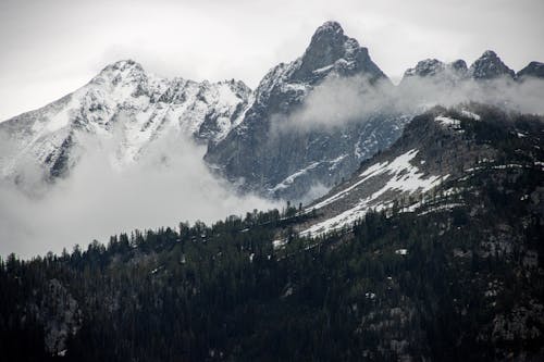 Foto profissional grátis de alta altitude, árvores, cadeia de montanhas