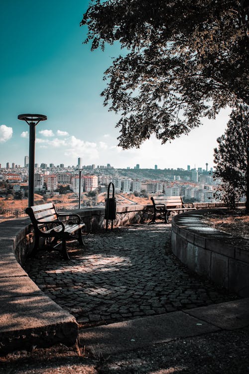 Foto d'estoc gratuïta de arbres, bancs, cel blau