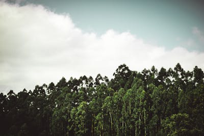 陈奕迅歌词的句子 陈奕迅歌词的经典歌词