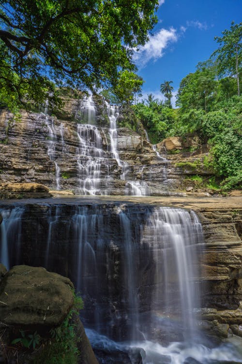 Waterfall in Forest