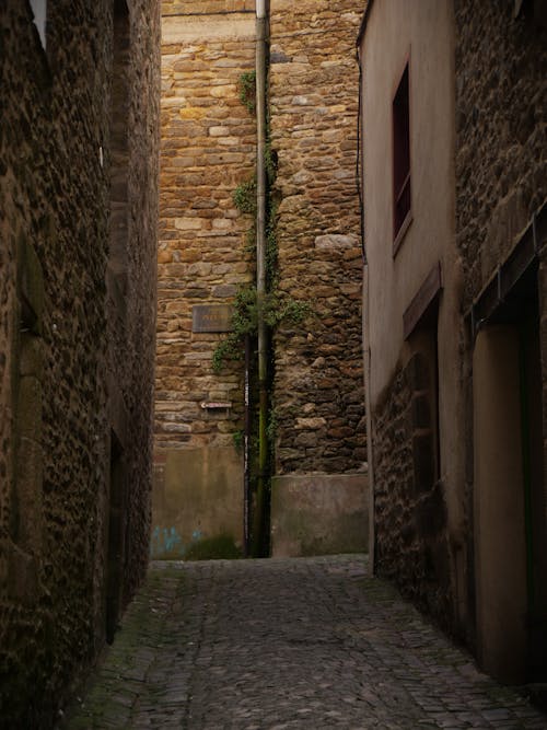Cobblestone Street in Old Town