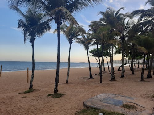 Foto profissional grátis de litoral