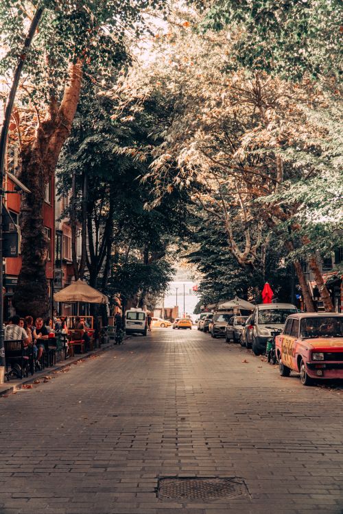 Free A bustling urban street lined with cafes, trees, and parked cars on a sunny day. Stock Photo