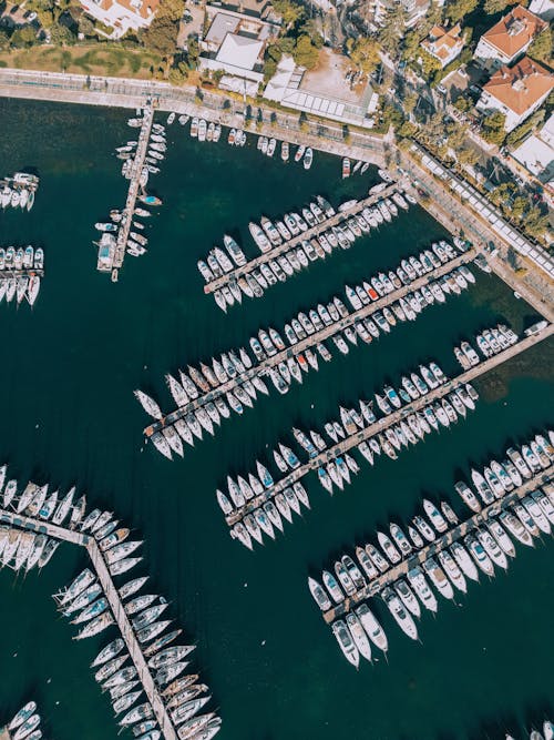 Free Aerial View of City Marina Stock Photo