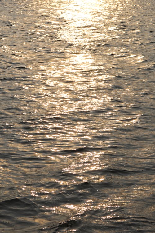 Fotos de stock gratuitas de dice adiós, luz del sol, mar