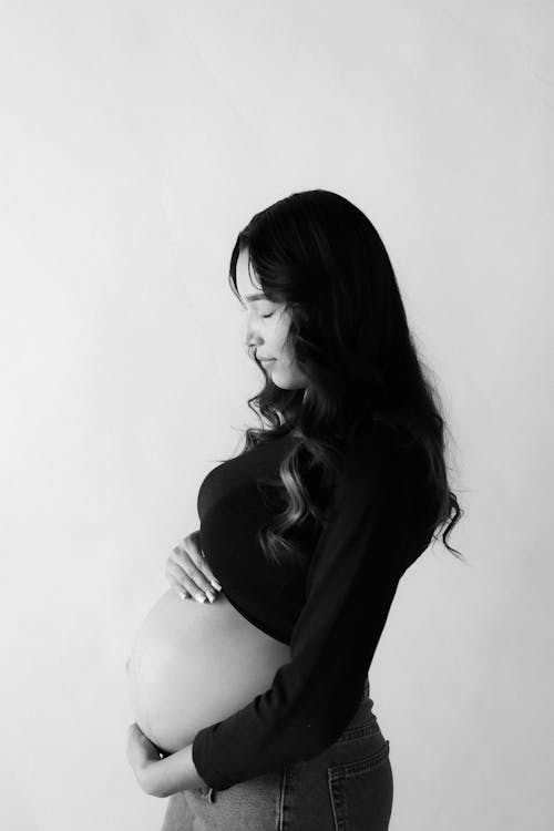 Portrait of a Pregnant Woman 