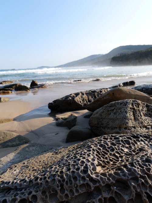 Kostnadsfri bild av Australien, strand, vandra