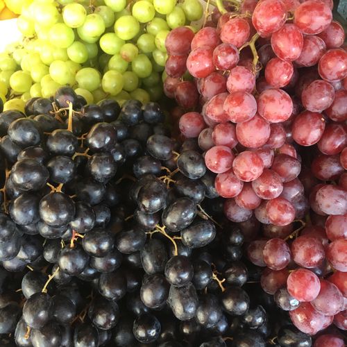 Free Grapes Stock Photo