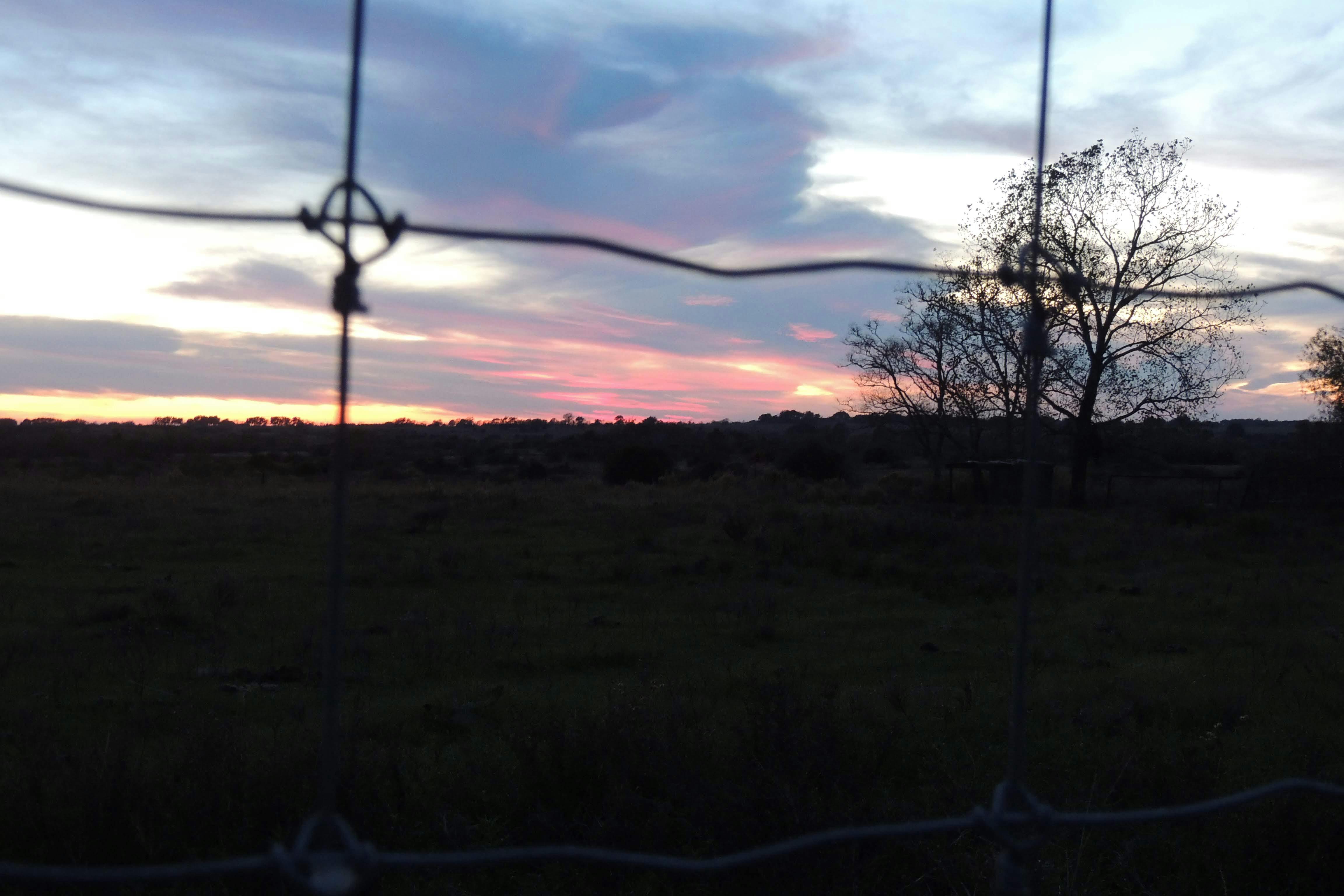 Free stock photo of country, sunset, wire fence
