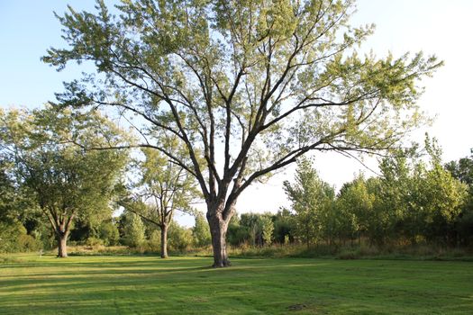 Ottawa Didn't Actually Own Half This Stittsville Park: Until Now