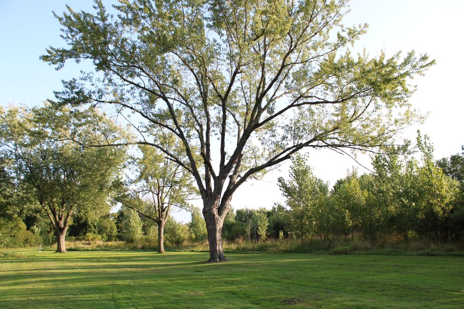 Ottawa Didn't Actually Own Half This Stittsville Park — Until Now